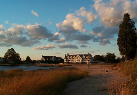 Brush Island