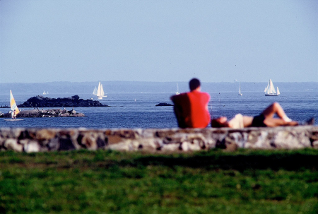 Cove Island Park, Stanford